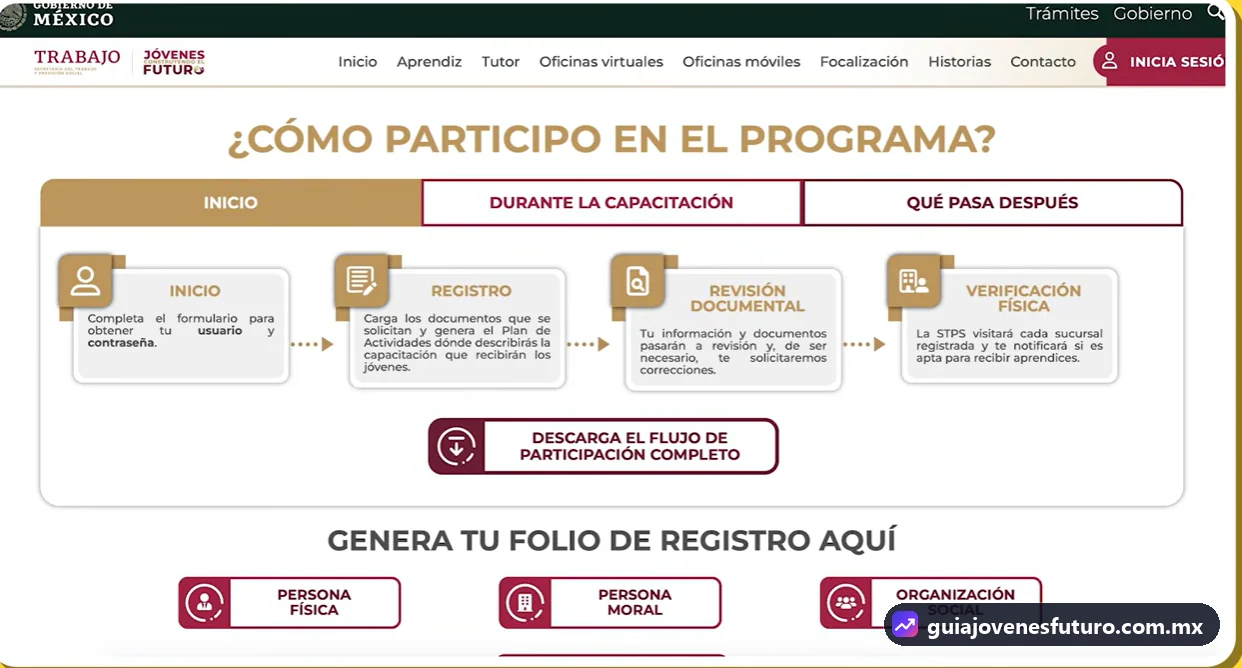 Sección ¿Cómo participo en el programa? del portal de Jóvenes Construyendo el Futuro con las etapas inicio, registro, revisión documental y verificación física